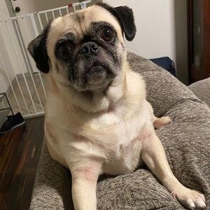 Meet your Posher, Candace